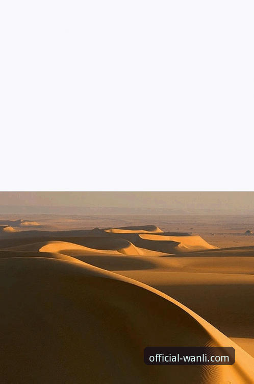 万利登录平台 沙漠风暴与数字绿洲:顶级赛事的不确定性 vs. 万利登录平台的确定性体验